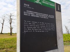 -芒洲湿地公园