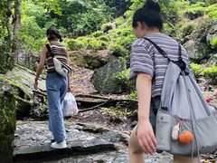 -石台牯牛降景区