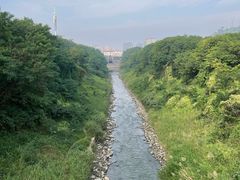 -羚羊峡古栈道森林公园