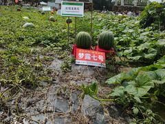 -长春农博园