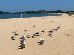 -海驴岛(荣成市)