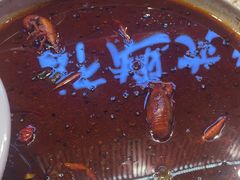 -京悦南门涮羊肉·羊蝎子火锅(田林路店)