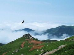-东白山
