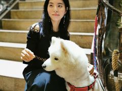 -more than meow吴止猫主题餐厅(承德 中船汇店)