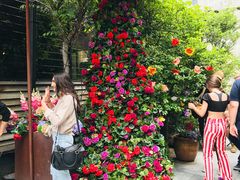 -The Grounds of Alexandria