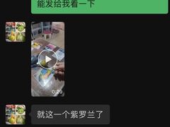 -明明手养鹦鹉(堤角花鸟宠物大世界店)