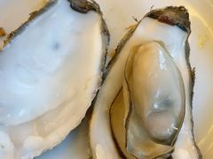 -四海蒸鲜蒸汽海鲜自助(北戴河店)