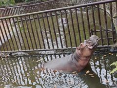 -海南热带野生动植物园
