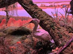 -中国湿地博物馆