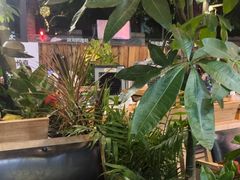 -木屋烧烤(白石洲店)