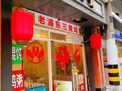 -九斤黄三黄鸡专卖店