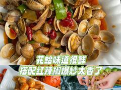 -亚龙湾热带天堂森林公园