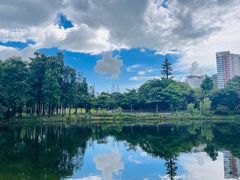 -四海公园(南山区)