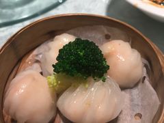水晶虾饺-觅唐MITONG(鸟巢店)
