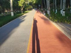 -大兴滨河森林公园