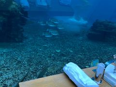 -涛·海底餐厅·美人鱼·自助餐·海底隧道(三亚海棠湾洲际度假酒店)