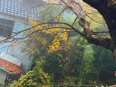 -藏龙百瀑风景区