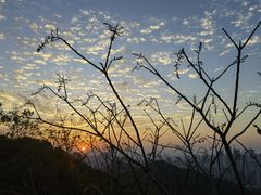 -桃花岭景区