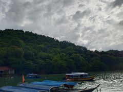 -真浪大家乐海鲜餐馆