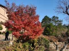 -黄陂区野村谷景区