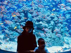 -成都浩海立方海洋公园