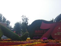 -大兴滨河森林公园