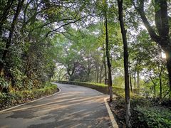 -石燕湖生态旅游景区