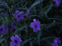 -东钱湖旅游度假区