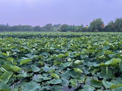 -云龙湖旅游景区