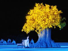 -鼎盛王朝康熙大典实景演出