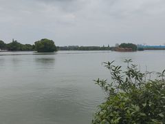-范蠡湖公园