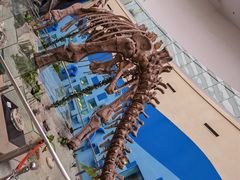 -陕西自然博物馆