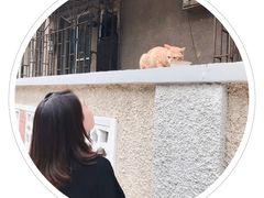 -Badmarket(庙前西街店)
