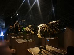 -世界恐龙谷景区