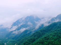 -秦岭风景区