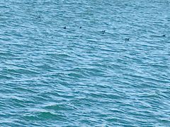 -北京天湖会议中心