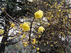 -南通博物苑-崇川人民公园