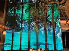 -桂满陇·海市蜃楼·黑金(国金店)