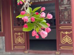 -荣国府
