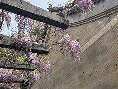 -红螺寺