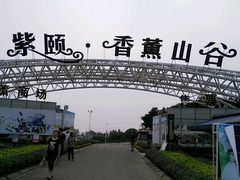 android_upload_pic-紫颐香薰山谷景区