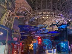 -烟台海昌鲸鲨海洋公园