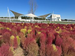 -天津东丽湖风景区