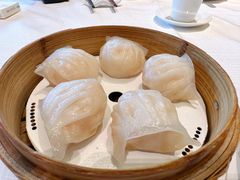 -金悦轩海鲜城(渔人码头店)
