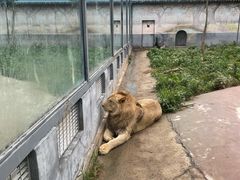 -龙口动植物园