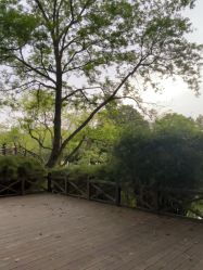 -爱你宝贝儿童摄影(西湖云端店)