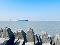 -上海滨江森林公园