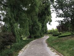 -晋祠公园