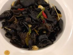 -金蝉食府(维吉奥广场店)