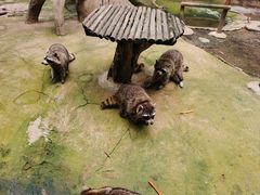 -杭州野生动物世界